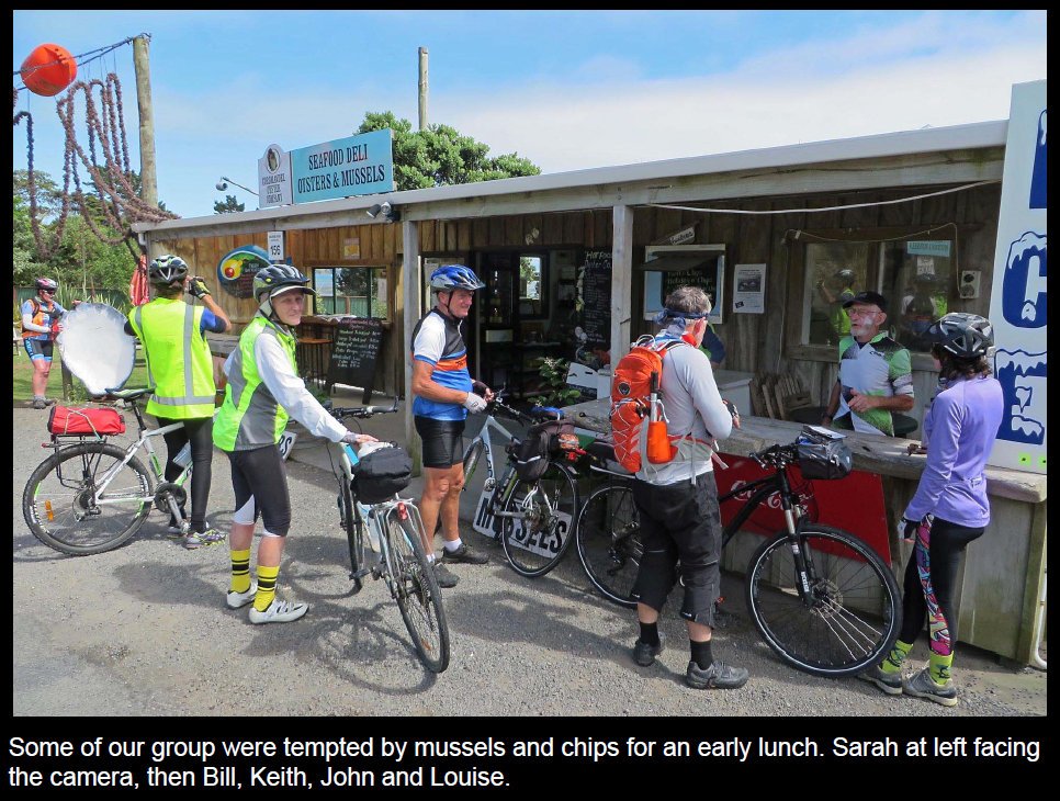 coro201507.jpg (257001 bytes)